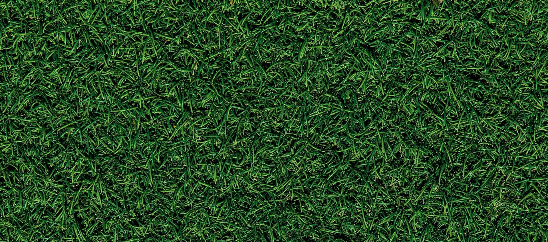 Fall 2025 Rush - Lawn Day 8/25